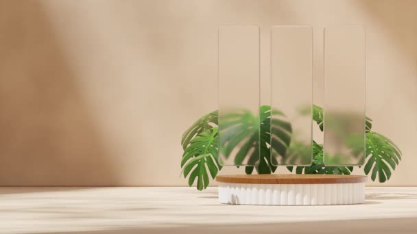 木および白いシリンダー表彰台はガラスおよびモンステラの家の植物が付いている継ぎ目が無い影のアニメーション 3D映像レンダリング空白のモックアップをループします — ストック動画