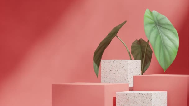 緑色のカラジウムハウス植物 シーンテンプレートテラゾと赤い表彰台のシームレスなループシャドーアニメーションの3D映像レンダリング — ストック動画