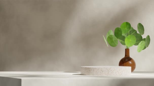 带木瓶绿色居家植物的特拉佐圆筒平台无缝回旋阴影动画3D视频渲染场景模板 — 图库视频影像