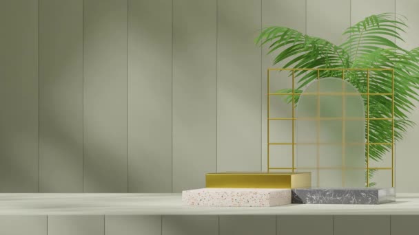 Animación Sombra Sin Costuras Bucle Con Pared Verde Planta Palma — Vídeo de stock