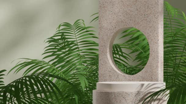 ヤシの植物および緑の壁が付いている継ぎ目が無い影のアニメーションをループ 3Dビデオレンダリング自然なテラゾの表彰台の空白のモックアップ — ストック動画