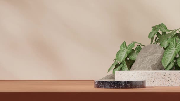 大理石とテラッツォ表彰台は 緑のシンゴニウム植物と岩でシームレスな影のアニメーションをループし 3D映像を空白のモックアップ — ストック動画