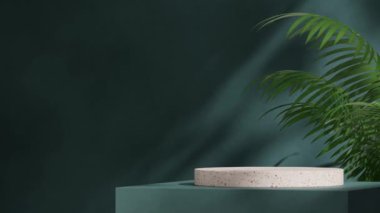3D görüntüler, yeşil aracea palmiye ve mavi duvarla sarmalanmış kırmızı terrazzo podyumunu, dikişsiz gölge animasyon döngüsünü boş bırakıyor.