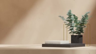 boş sahne siyah beyaz seramik podyum kusursuz gölgeli animasyon okaliptüs yaprağı ve altın küp, 3D görüntüler