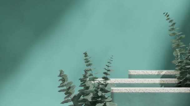 Yeşil Terrazzo Podyumunun Okaliptüs Yaprağı Bitkisiyle Sarmalanmış Gölgesiz Animasyon Görüntüsü — Stok video