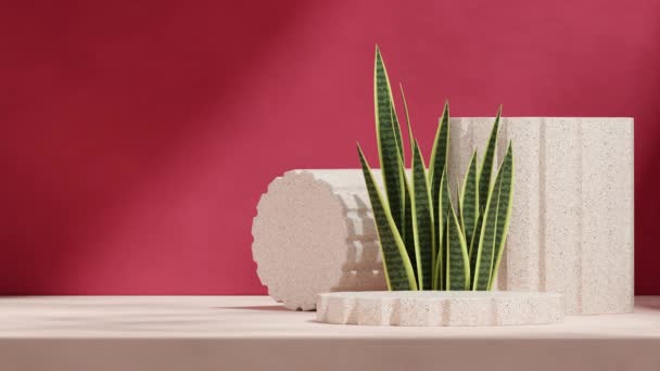 空白スペースの3D映像をレンダリングする赤い壁と家の植物 自然なテラゾ 表彰台シームレスな影アニメーションループ — ストック動画