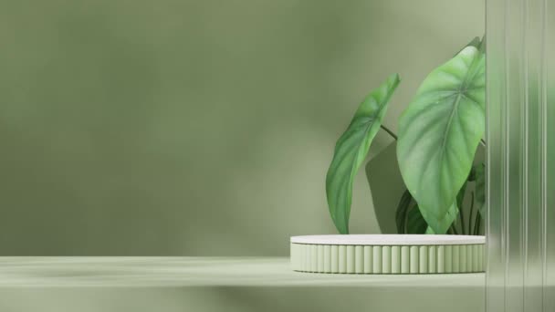 Gabarit Maquette Podium Blanc Vert Avec Une Animation Ombre Transparente — Video