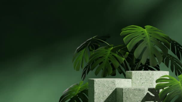Maqueta Blanco Verde Terrazo Texturizado Podio Con Animación Sombra Sin — Vídeos de Stock