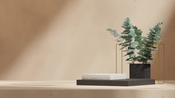 空のシーン黒の白い陶磁器の表彰台のシームレスな影のアニメーションのループのユーカリの葉および金の立方体 3Dレンダリング映像 — ストック動画