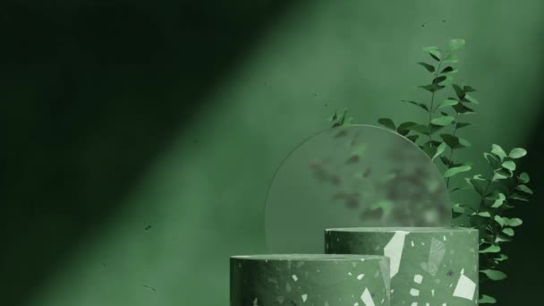 Yeşil Terrazzo Podyumunun Boş Görüntülerini Hazırlıyor Cam Çember Yaprak Bitkisi — Stok video