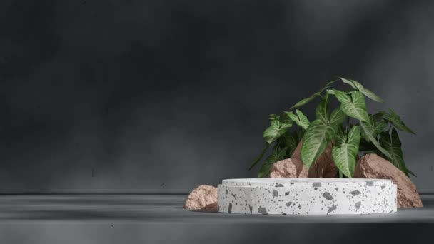 シームレスな影のアニメーションをループする白黒テラッツォ表彰台の3D映像レンダリングの岩とシンゴニウム植物 — ストック動画
