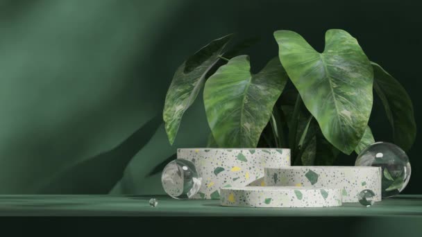 カラジウム植物およびガラス球が付いている継ぎ目が無い影のアニメーションは緑のテラゾーの表彰台の3D映像の空白のモックアップをレンダリングします — ストック動画