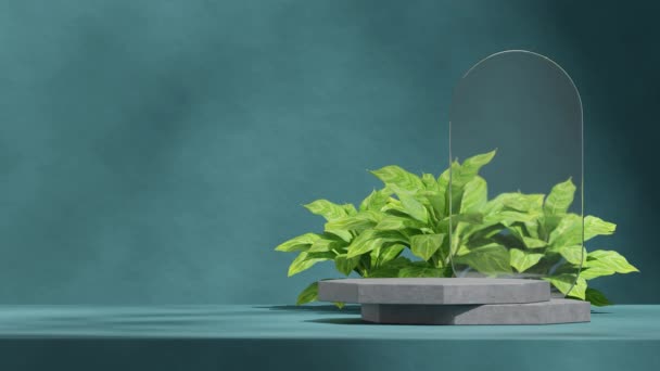 Forma Vidro Parede Azul Planta Verde Vídeo Renderização Modelo Mockup — Vídeo de Stock