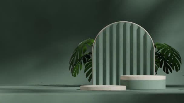 空白スペースグレーとグリーンシリンダー表彰台のシームレスな影アニメーションモンステラオサ植物 3Dビデオレンダリング — ストック動画