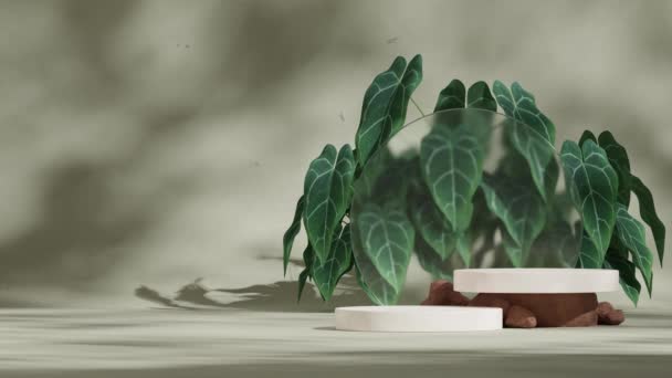 ホワイトシリンダー表面シームレスな影アニメーションループと緑のアンチュリウムの葉とガラス 3D映像テンプレートのモックアップ — ストック動画