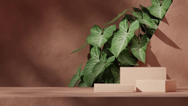 緑の葉植物とテクスチャ壁 3Dビデオレンダリングシーンテンプレートを使用した茶色のテラッツォ表彰台のシームレスな影アニメーションループ — ストック動画