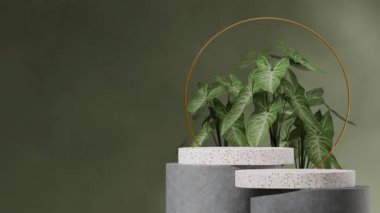 boş uzay turuncu terrazzo desenli yeşil bitki ve duvar görüntüsü dikişsiz döngü gölge animasyonu