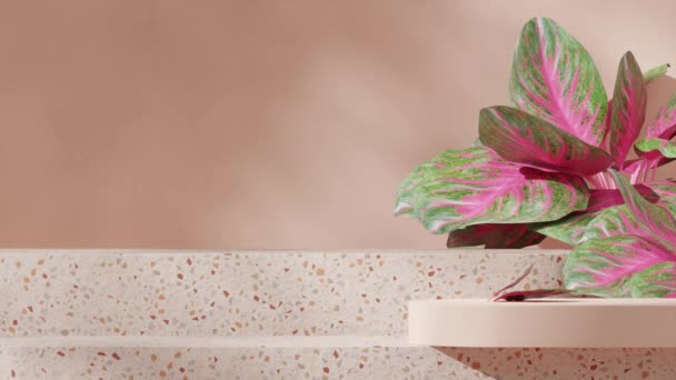 空白スペース 赤褐色テラゾ素材表彰台 シームレスな影のアニメーション赤いマネマ植物 3Dビデオレンダリング — ストック動画