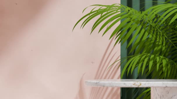Beyaz Mermer Masa Podyumu Yeşil Duvarlı Araceae Palmiyeli Kusursuz Gölge — Stok video