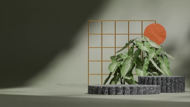 3Dレンダリング映像 ブラックテラゾ表彰台の空白のモックアップ 金網と緑の家具でシームレスな影のアニメーションをループ — ストック動画