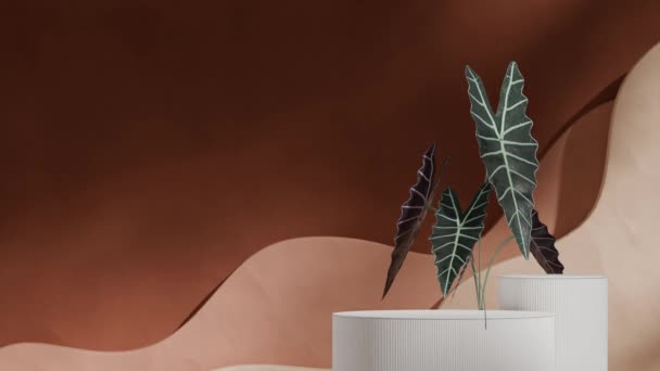 Animation Sans Couture Ombre Boucle Avec Forme Onde Brune Plante — Video
