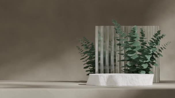 Glaswand Und Eukalyptusblatt Machen Aufnahmen Von Leeren Mockups Grober Form — Stockvideo