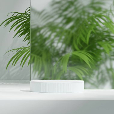Camın arkasındaki kare palmiye ağacında boş beyaz renkli silindir podyum, 3D görüntüleme