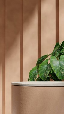 alocasia ev bitkisi, 3D görüntü şablonu modelleme seramik ve terrazzo podyumu portrede