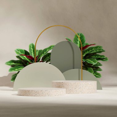 terrazzo desenli, kare altın kemer ve kalathea desenli podyum, 3D görüntü boş.