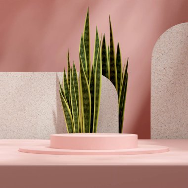 Pastel pembe podyum 3D canlandırma sahnesi Yılan bitkisi ve terrazzo arkaplanı kare düzeninde