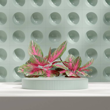 Geometrik şekilli yeşil duvar 3d şablon modelleme boş podyum ve aglaonema