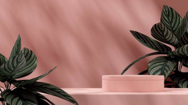 Pembe çizgili calathea arkaplanlı pembe silindir podyumun peyzaj düzenleme 3d görüntüsü