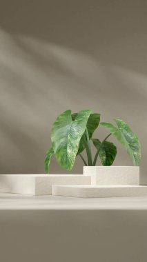 Mockup şablonu 3d görüntüleme seramik doğal doku podyumu yeşil alocasia ile portrede