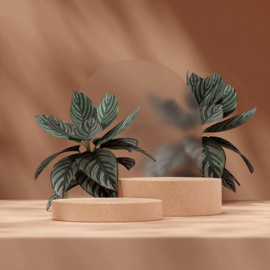 Kahverengi sahneli pembe çizgili kalathea 3D modelleme podyum ürünü peyzaj düzeninde