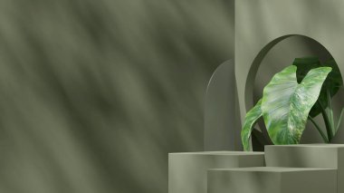 Yeşil monokrom 3d modelleme podyum blok arazi arazi için Alocasia bitki ile ürün için
