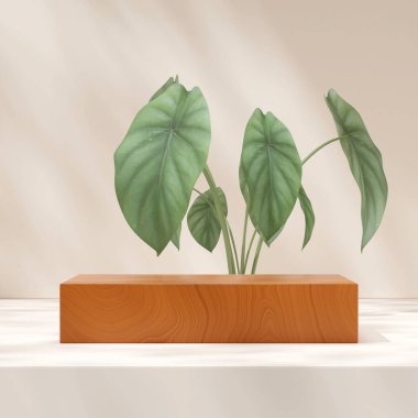 3D model ahşap doku podyumu yeşil kaladyum ev bitkisiyle kare şeklinde.