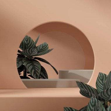Açık kahverengi duvarı ve pembe çizgili kalathea 3d 'si olan yeşil podyum.
