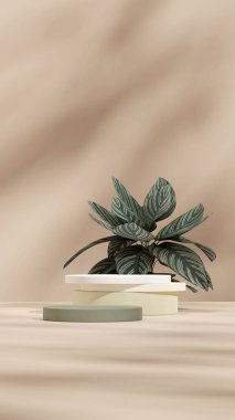 Pembe çizgili Calathea ev bitkisi ile yeşil gradyan podyumu 3D tasvir sahnesi