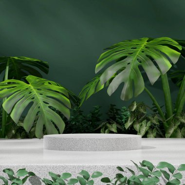 Beyaz granit podyumun üç boyutlu modelini yeşil canavar ev bitkisiyle kareye yerleştirdim.