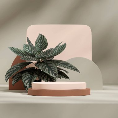 Dua eden bitki ve yeşil duvar. 3D. Krema ve kahverengi podyum sahnesi kare şeklinde.