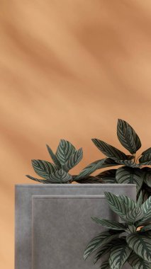 Portre portresi turuncu duvar ve tesis 3B görüntü oluşturma sahnesi beton doku podyumu