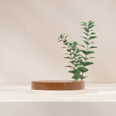 Yeşil yaprak bitkisi ile kare içinde boş ahşap dokusu silindir podyumu 3D görüntüleme