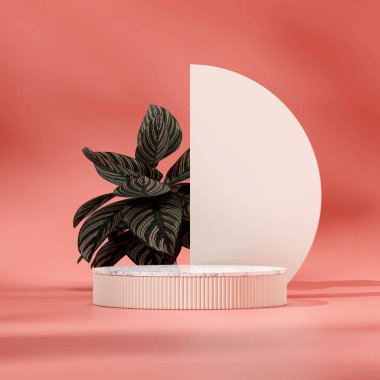 Meydandaki beyaz mermer podyumun şablonu dua eden bitki ve pembe duvarlı, 3 boyutlu.