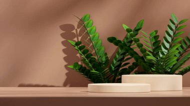 Zamia ev bitkisi arka planda 3D modelleme şablonu açık kahverengi silindir podyumu manzarada