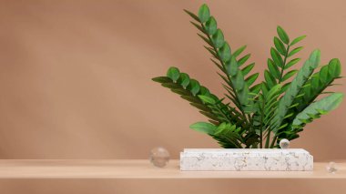 Peyzaj zamia ev bitkisi arka planında mermer levha podyumu 3B modelleme şablonu