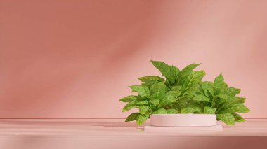 arkaplan içerisindeki küreler, 3d görüntünün görüntüsü boş pembe renk bloğu ve manzara içindeki silindir podyum