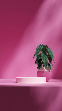 vazo arkaplanı, 3d görüntüyü boş alan haline getirme pembe renkli silindir podyumu portrede