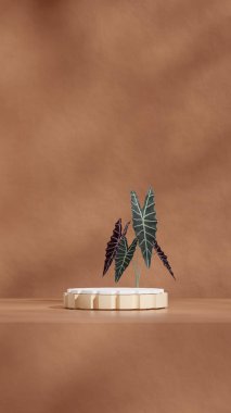 kahverengi renkli kıvrımlı silindir podyum portre en küçük sahne, 3d görüntü oluşturma boş model