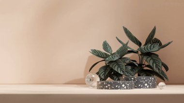 manzara minimumda, 3D canlandırma sahnesi terrazzo deseni kıvrımlı silindir podyum