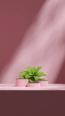 Portrede minimal görüntü, 3d resim boş modelleme mermer desen eğimli silindir podyum